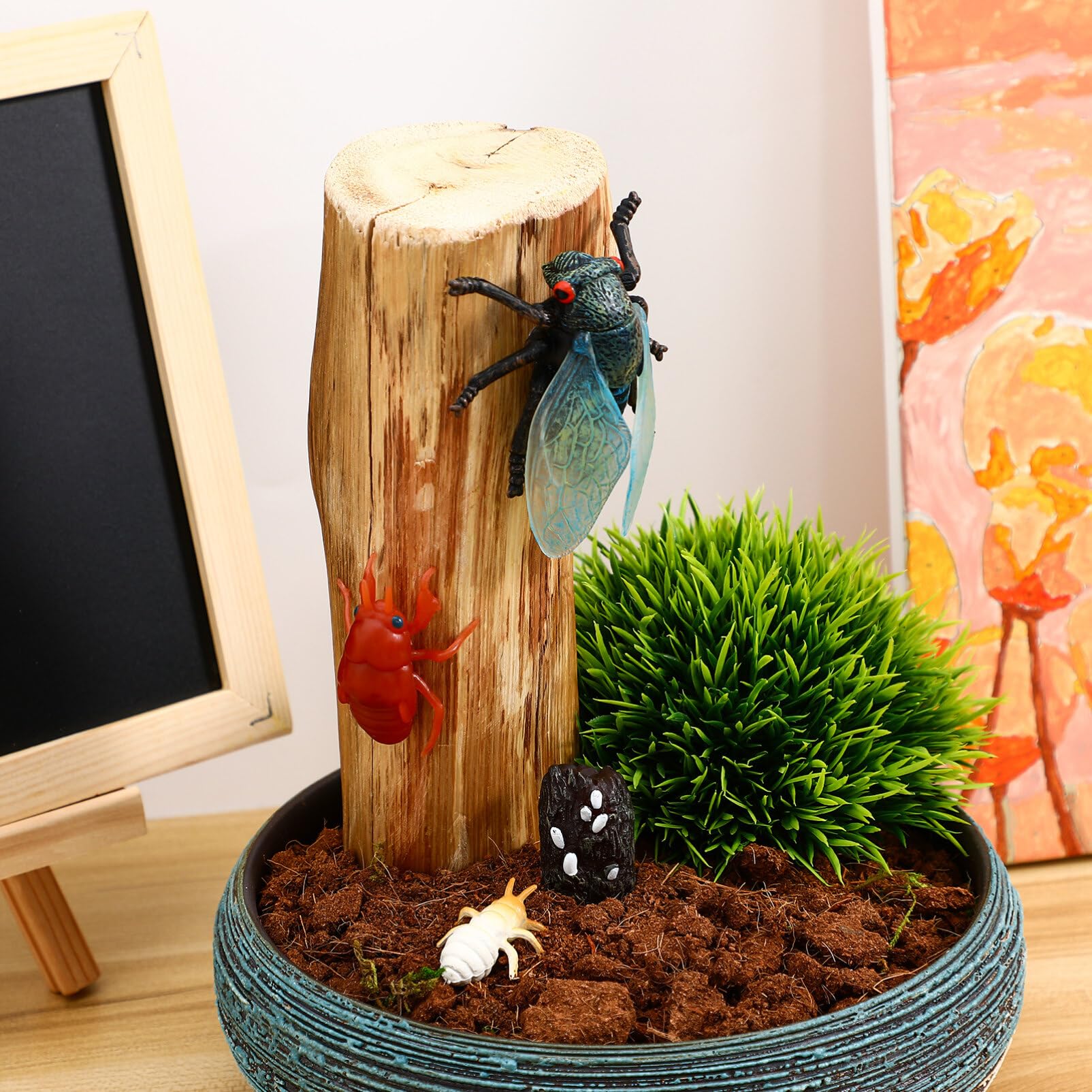 せみのようきゅう 71LrgGMyfUL._UF350,350_QL50_.jpg